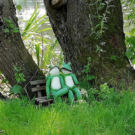 Ferienwohnung Am Froschteich Dolgen Exterior foto